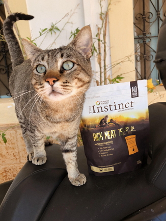 Ellos lo tienen claro.