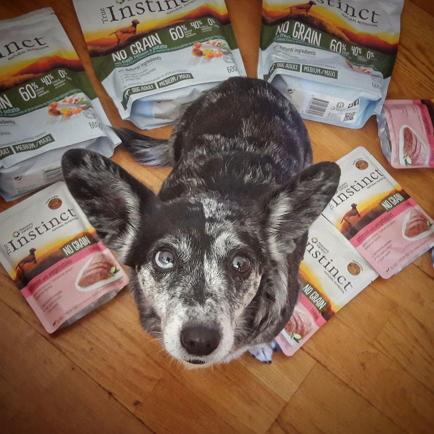 Ellos lo tienen claro.