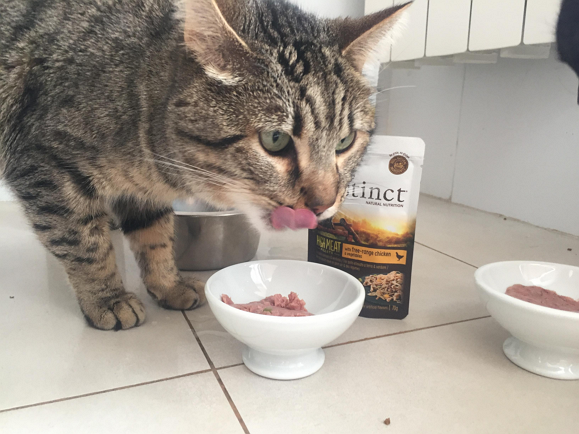 Ellos lo tienen claro