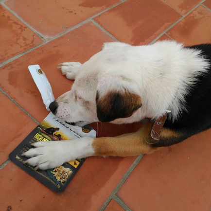 Ellos lo tienen claro