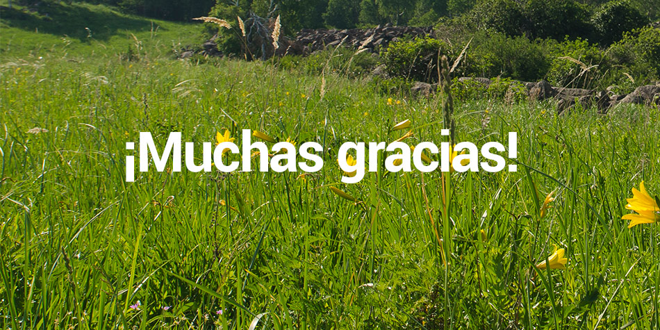 ¡Muchas gracias!