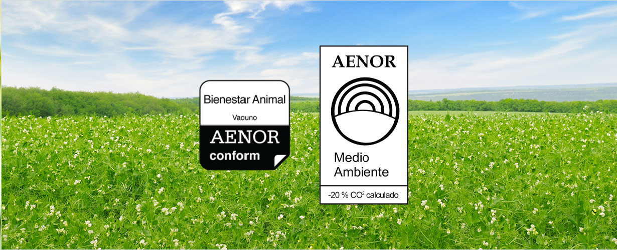… certificada en Medioambiente y Bienestar Animal…