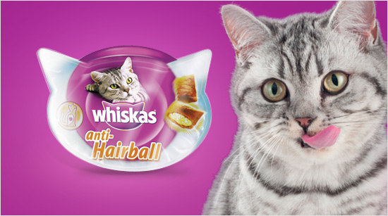 Junto a 2.500 trndian@s y sus mascotas descubriremos la gama Whiskas Premios y probaremos Whiskas anti-Hairball…