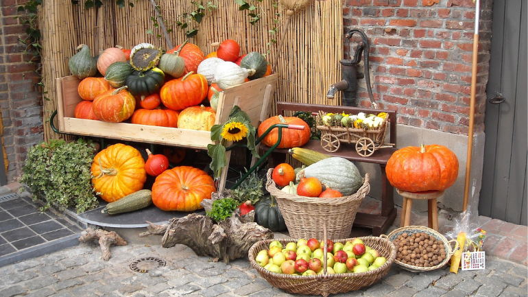 Les bienfaits des légumes en automne