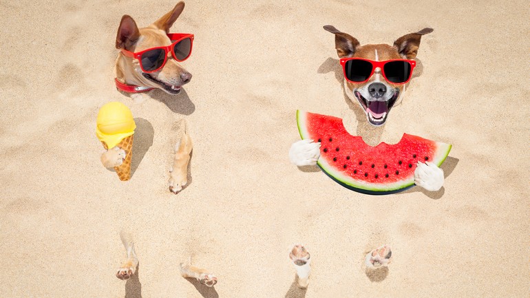 Quels sujets t’intéressent sur les réseaux sociaux ?