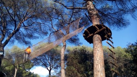 Accro aux branches ?