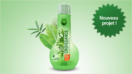 Nouveau projet trnd : Top Croissance Plantes Vertes