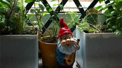 trnd-fr_firmin-le-nain