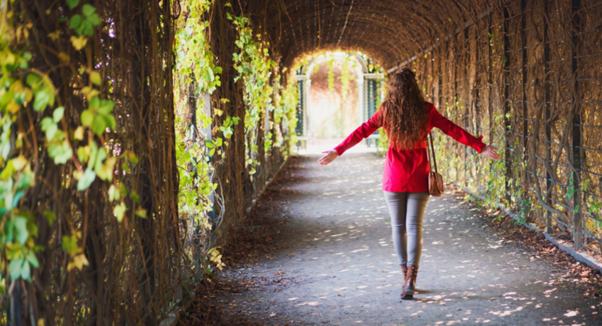 bywe jardin botanique