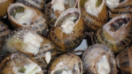 2012-05-04-trnd-cargolade-e1336128592481-jpg