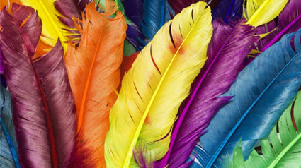 devinette-geranium-jpg