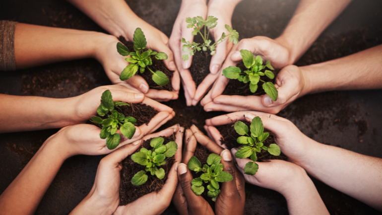 comment être un consommateur responsable 