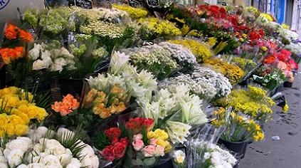 fleurs_trnd_blog_wom_bao