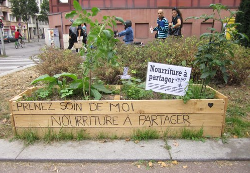 trnd-fr_marketing-collaboratif_potager_urbain
