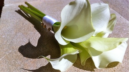 20120806-trnd-bouquet1-jpg