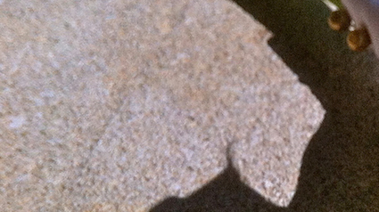 20120806-trnd-devinette-jpg