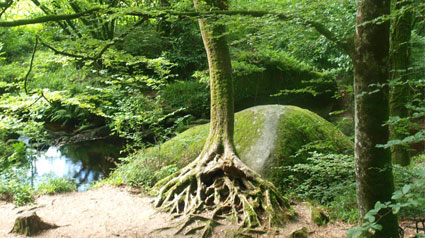 devinette-racine-carrée-jpg