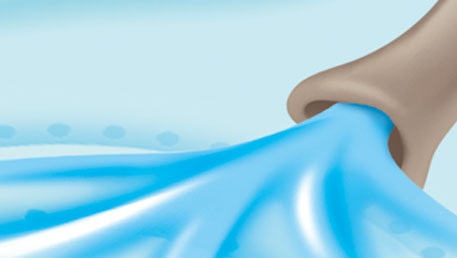 Devinette nouveau projet trnd