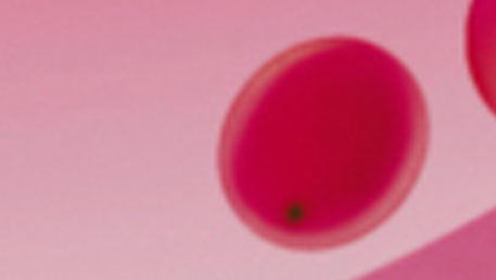 Devinette nouveua projet trnd