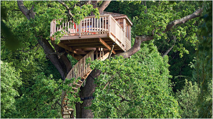 maison-arbre-trnd-blog-wom