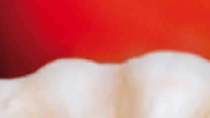 piste-projet-marketing-participatif_trnd