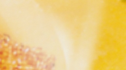 trnd_devinette_projet