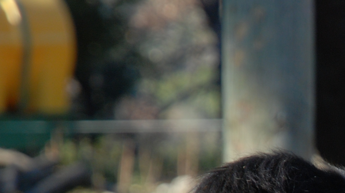 trnd-devinette-v21-jpg