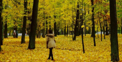 automne blogteaser