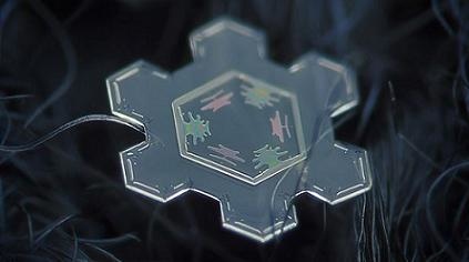 flocon_trnd_blog_wom_bao