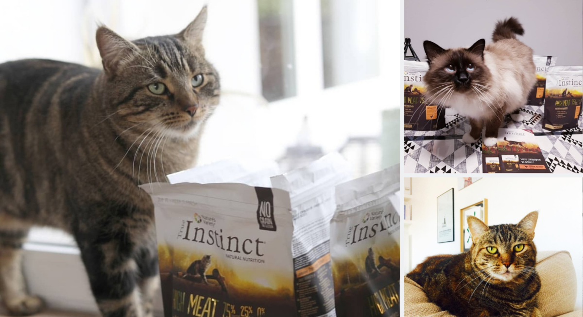 Affinity Petcare TRND True Instinct