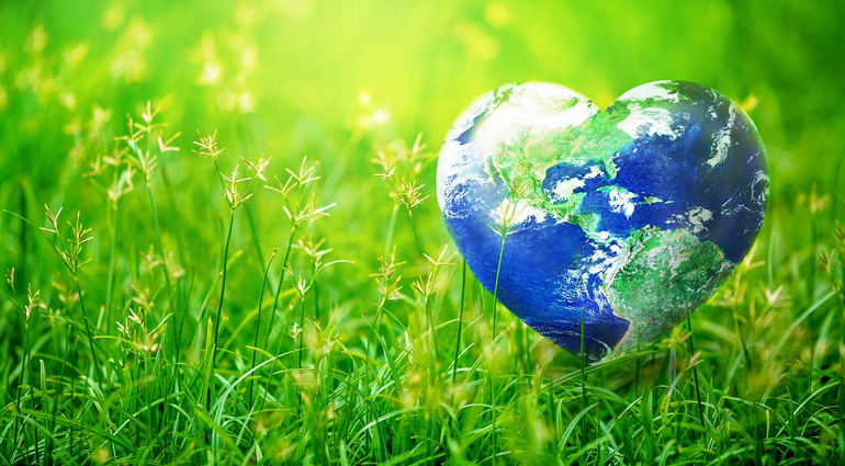 journee de la terre pv