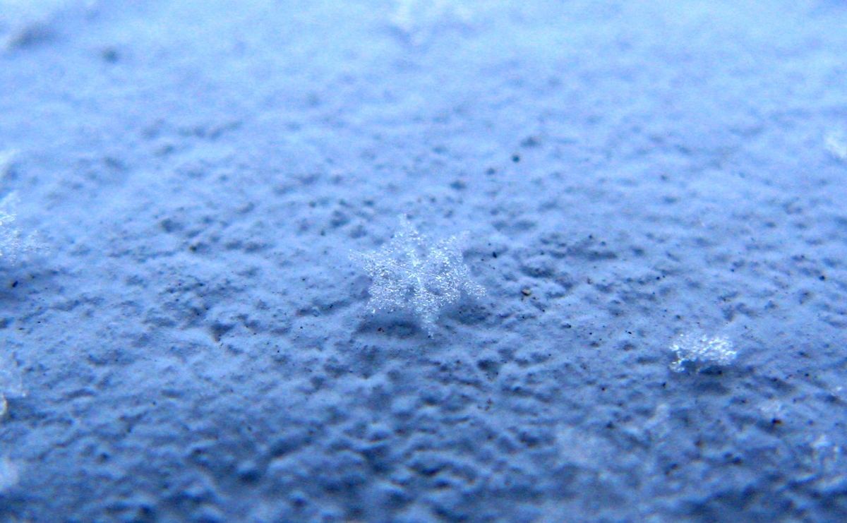 trnd-devinette-photo-jeu-20121206--lauliliputienne-deviantart-com--jpg