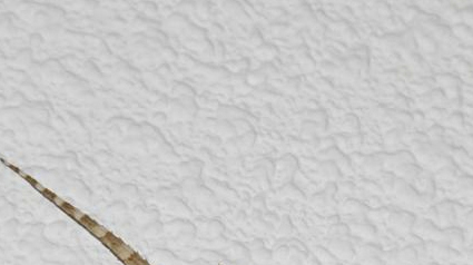 20120820-trnd-Devinette-jpg