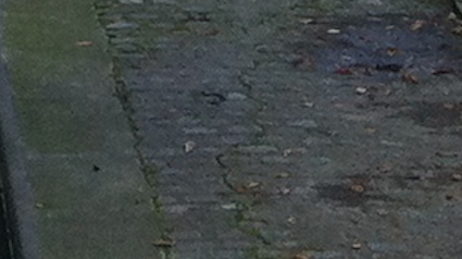 trnd-devinette-20121114-jpg