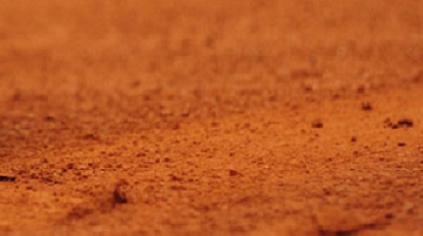 devinette-blog-wom-trnd