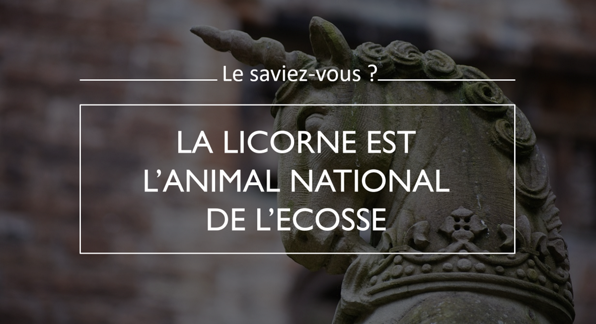 Licorne Ecosse