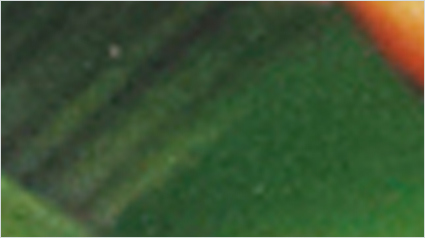 trnd-france-nouveau-projet