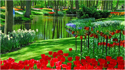 parc-vert-trnd-bao-wom