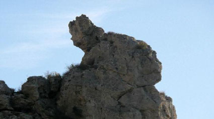 TRND-blog-communauté-marketing-devinette-jpg