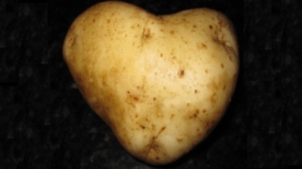 potato