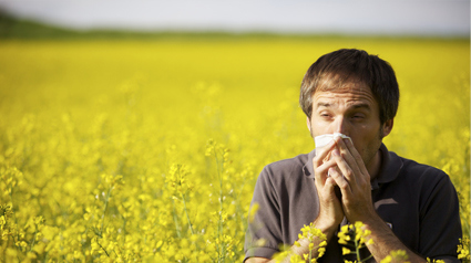 trnd-marketing-participatif-blog-communauté-pollens1-jpg