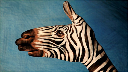 animaux-zoo-trnd-bao-wom