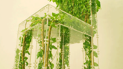 Growing-chair-trnd-gif