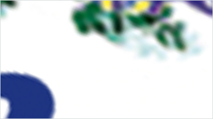 projet-trnd-communaute