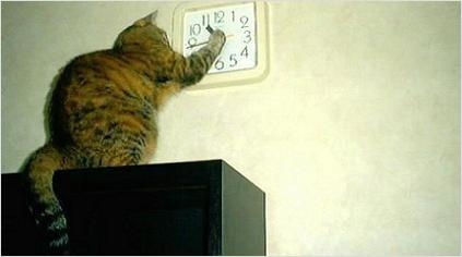 heure_trnd_blog_wom_bao