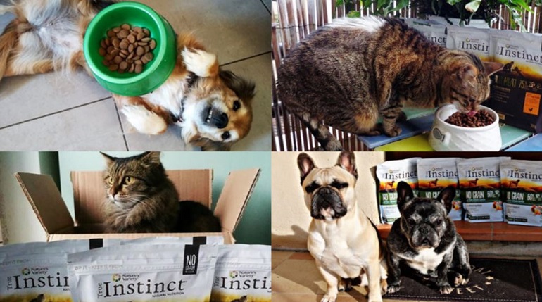 Les photos du mois preview