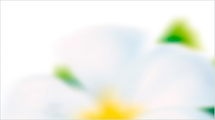 trnd_devinette_projet