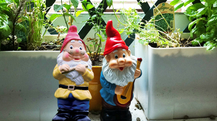 trnd-fr_firmin-copain