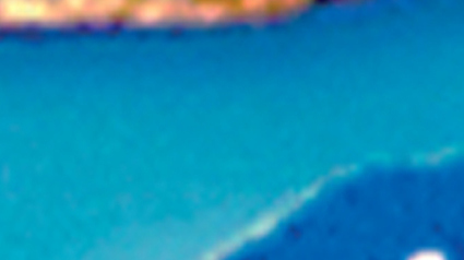 trnd-word-of-mouth-marketing-opinion-consommateur