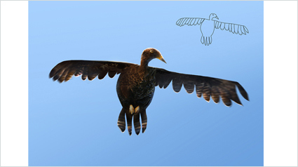 dessin-d-enfants_5_telmo-pieper